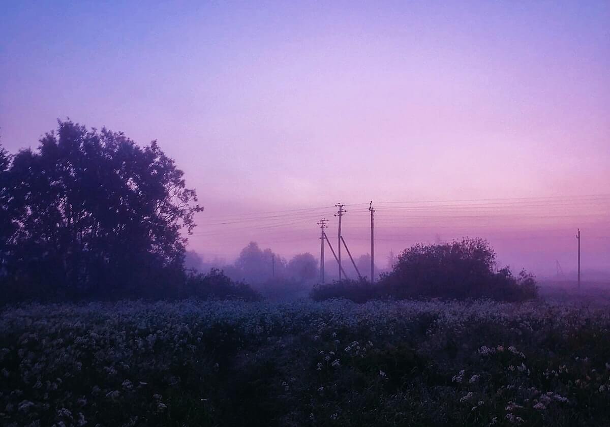 15000名跑者从东方明珠出发,2026上海半马今晨鸣枪,许双双收获个人PB:路边观众特别热情